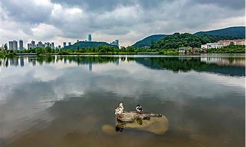 长沙西湖公园天气预报15天_长沙西湖公园天气预报