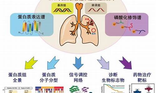 肺基因与天气变化无关_基因会导致肺部发育