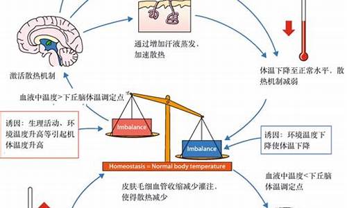 天气变化引起的_天气变化后身体的反应