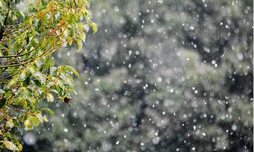 雨夹雪是天气还是气象_雨夹雪天气天气质量怎么样