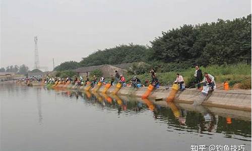 天凉了钓鲤鱼钓深水还是浅水_天气凉了鲤鱼在深水