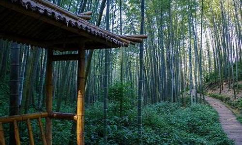 蜀南竹海景区天气预报_蜀南竹海的天气预报