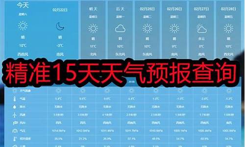 鹤岗天气预报15天查询_鹤岗天气预报15天查询最新消息