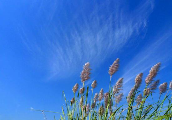 宝鸡天气60天查询