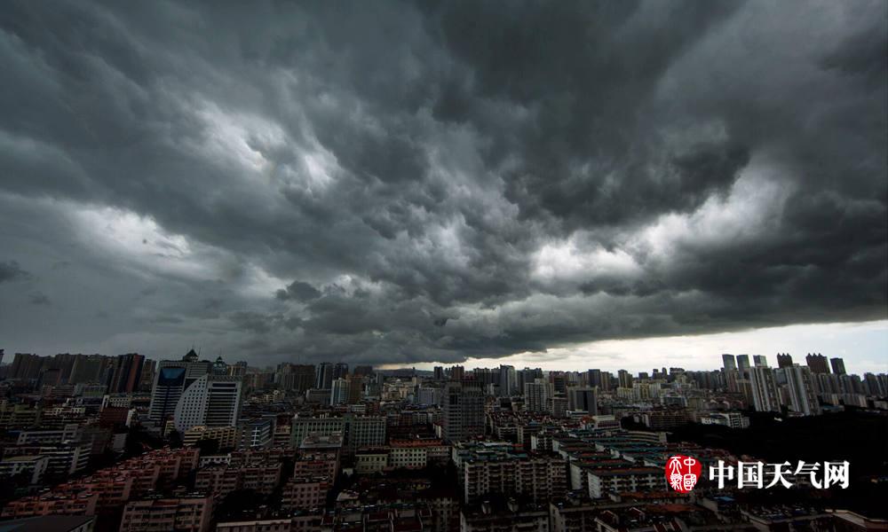 实时天气预报武清